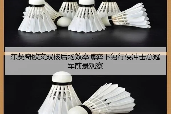 东契奇欧文双核后场效率博弈下独行侠冲击总冠军前景观察